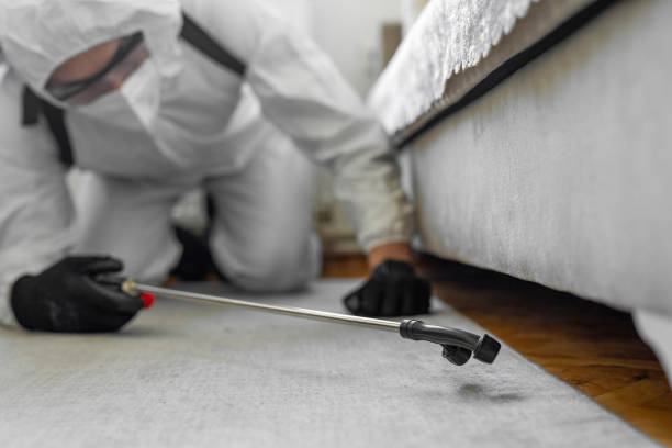 Professional Termite Control technician working in Glenville, CT