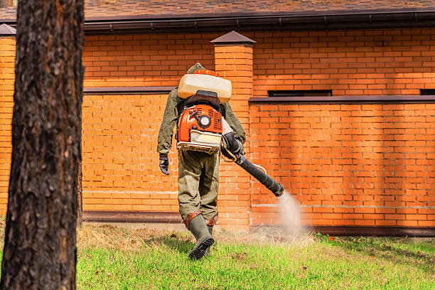 Trusted Mosquito Control service in Glenville, CT - Nex Pest Control